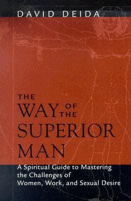 Cover of The Way of the Superior Man: A Spiritual Guide to Mastering the Challenges of Women, Work, and Sexual Desire by David Deida